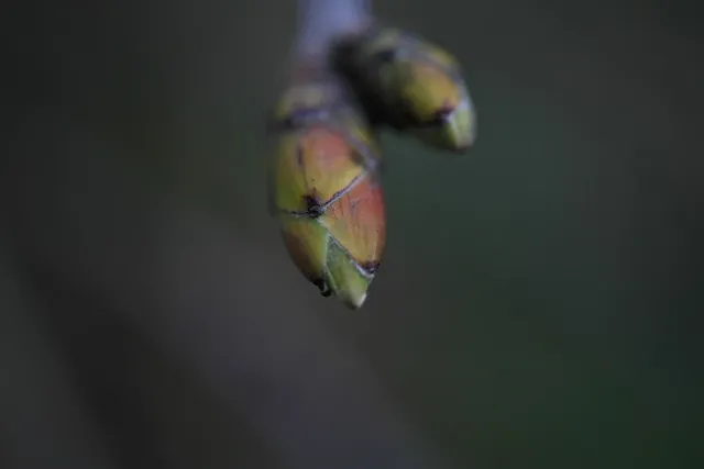 Untitled photo